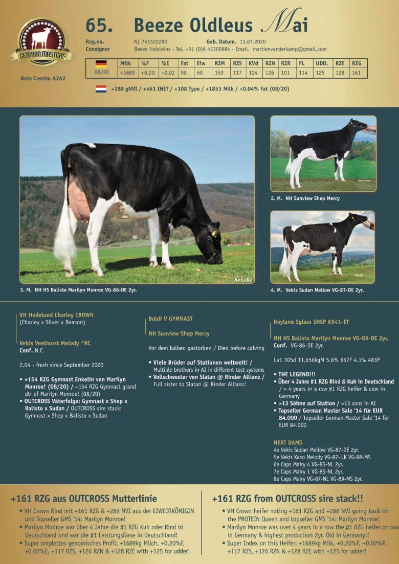 Datasheet for Lot 65. Beeze Oldleus Mai