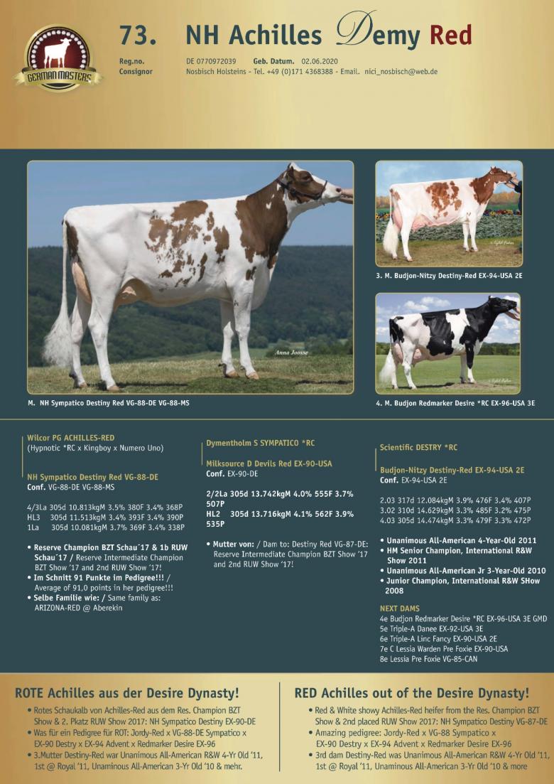 Datasheet for Lot 73. NH Achilles Demy Red