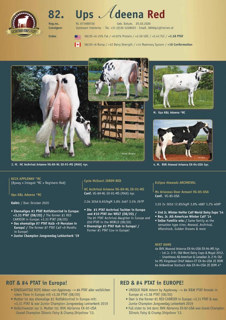 Datasheet for Lot 82. Ups Adeena Red
